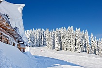 SkiWelt Wilder Kaiser - Brixental